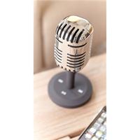 Speaker wireless
